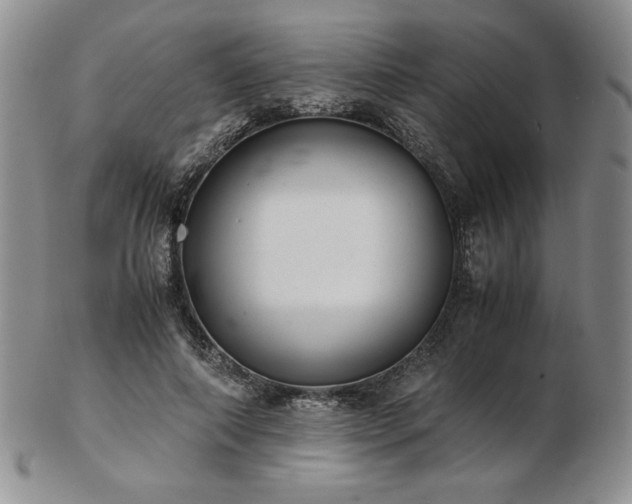 X0000103130690200808221154