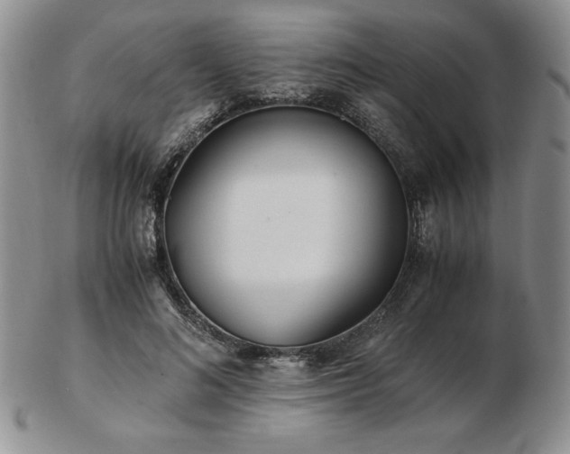 X0000103130692200808221154