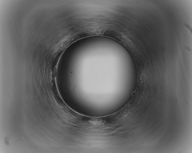 X0000103130693200808221154