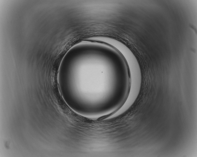 X0000103130695200808221154