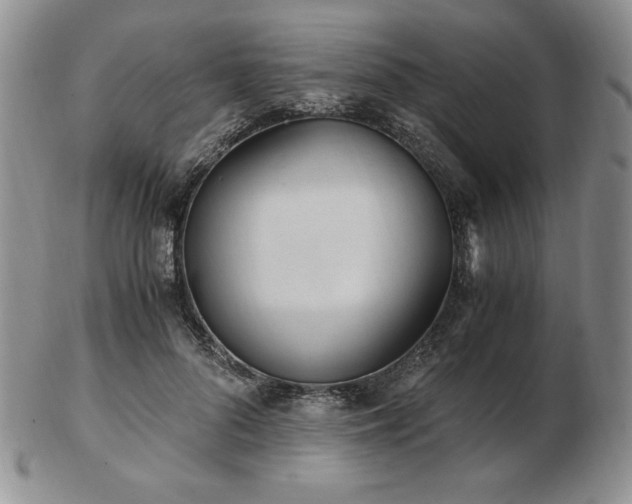 X0000103130696200808221154