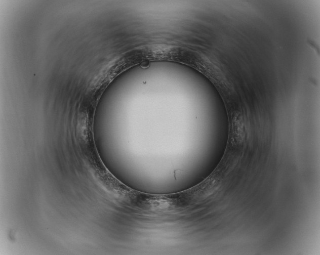 X0000103130698200808221154