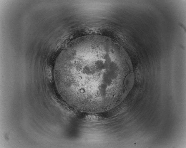 X0000103130699200808221154