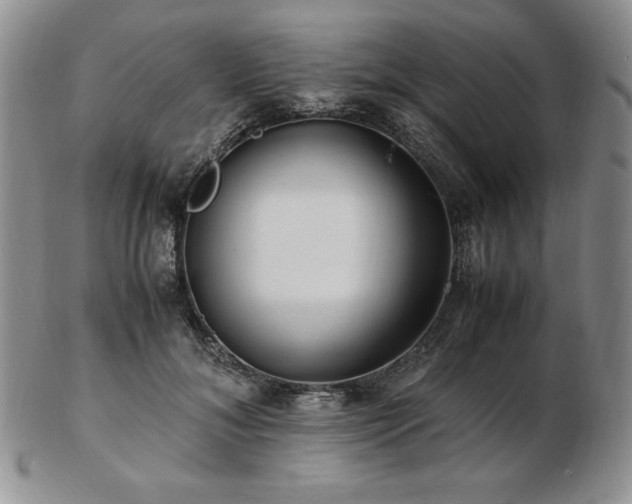 X0000103130700200808221154