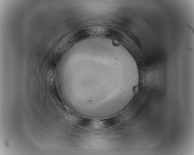 X0000103130701200808221154