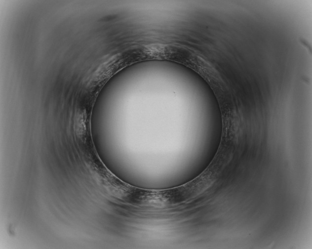 X0000103130702200808221154