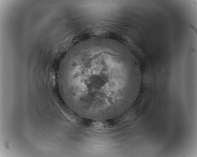 X0000103130703200808221154
