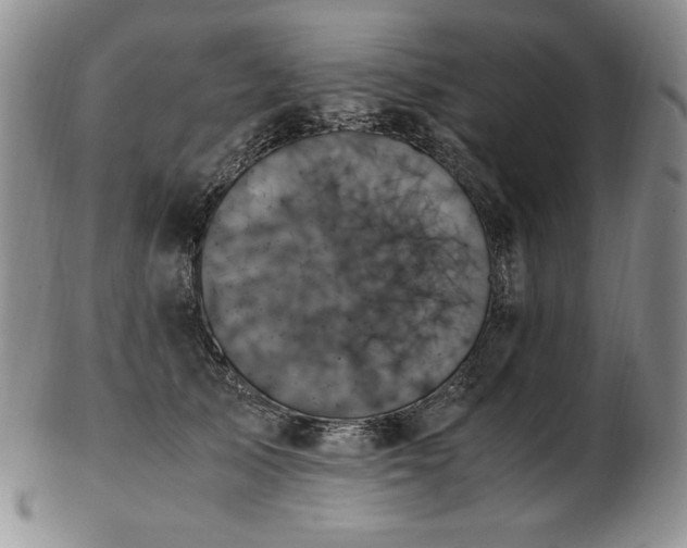 X0000103130705200808221154