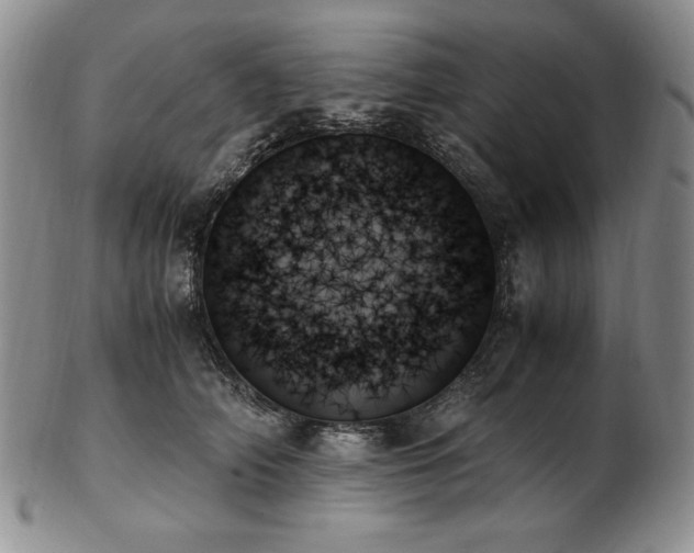 X0000103130706200808221154