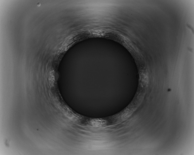 X0000103130707200808221154