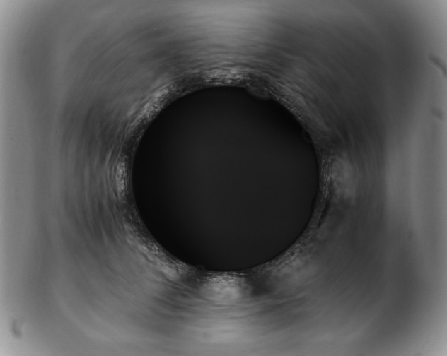 X0000103130708200808221154