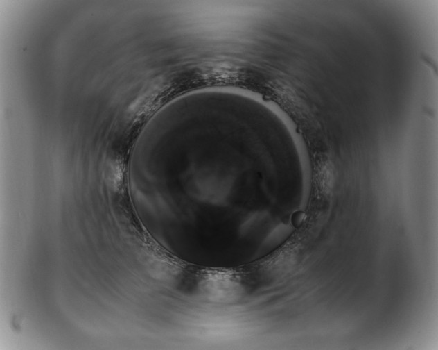 X0000103130709200808221154