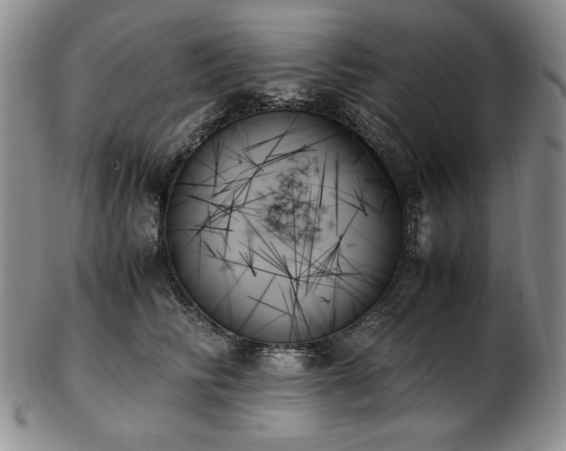 X0000103130710200808221154