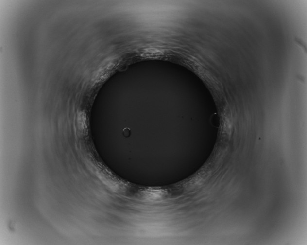 X0000103130711200808221154