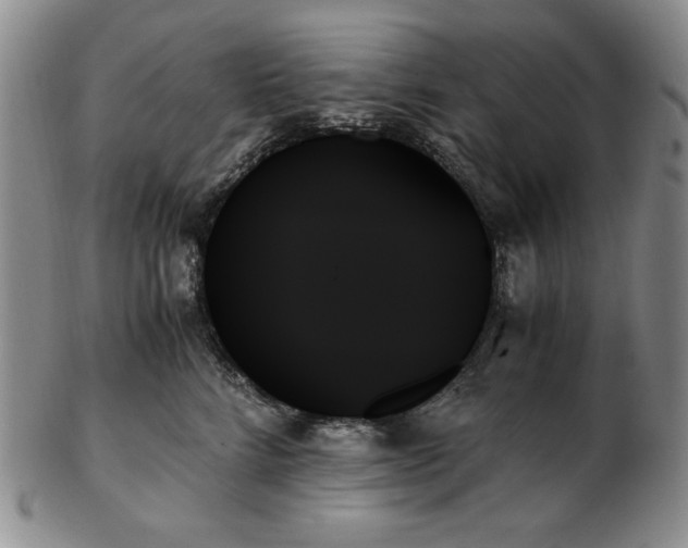 X0000103130712200808221154