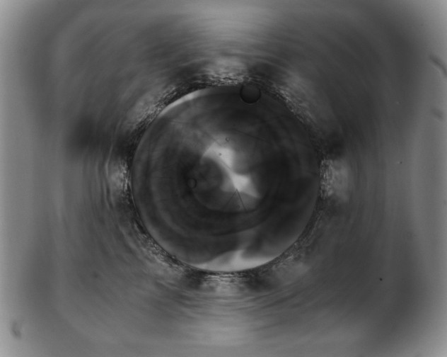 X0000103130713200808221154