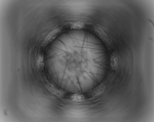X0000103130714200808221154