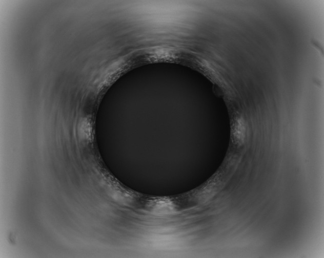 X0000103130715200808221154