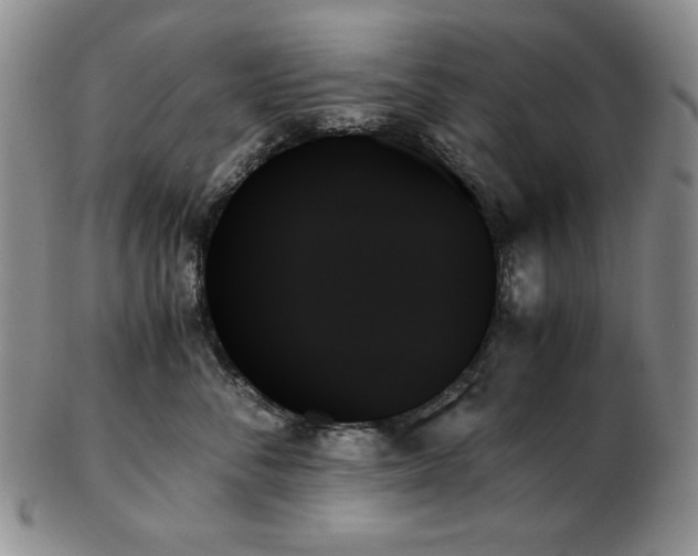 X0000103130716200808221154