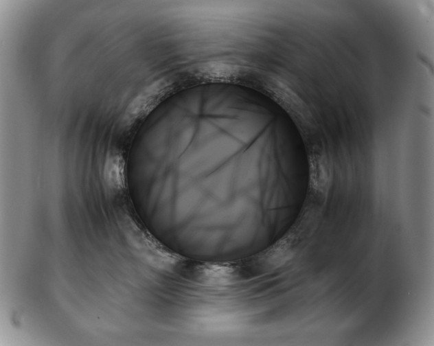 X0000103130718200808221154