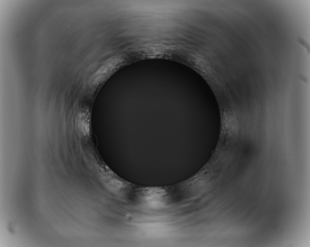 X0000103130719200808221154