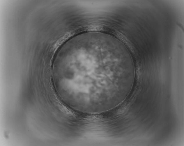 X0000103130721200808221153