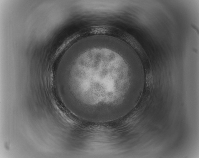 X0000103130722200808221153