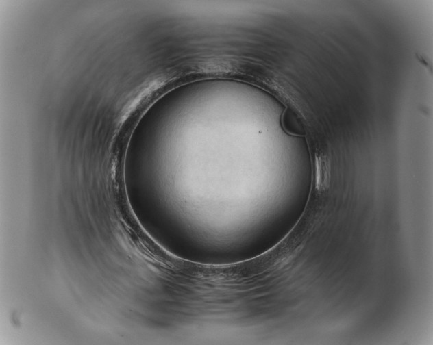 X0000103130723200808221153