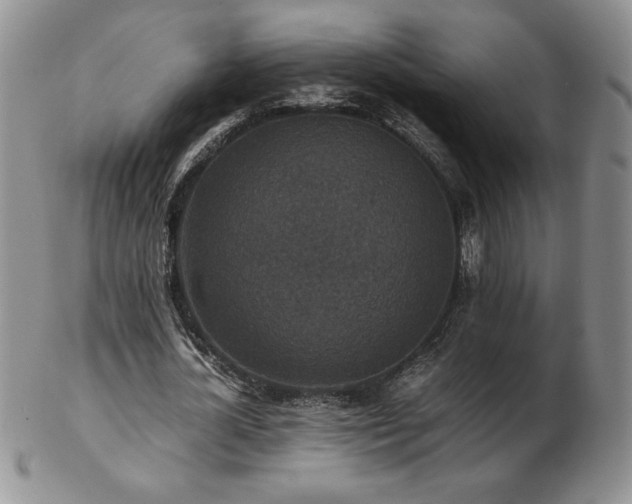 X0000103130724200808221153