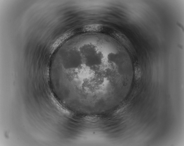X0000103130725200808221153