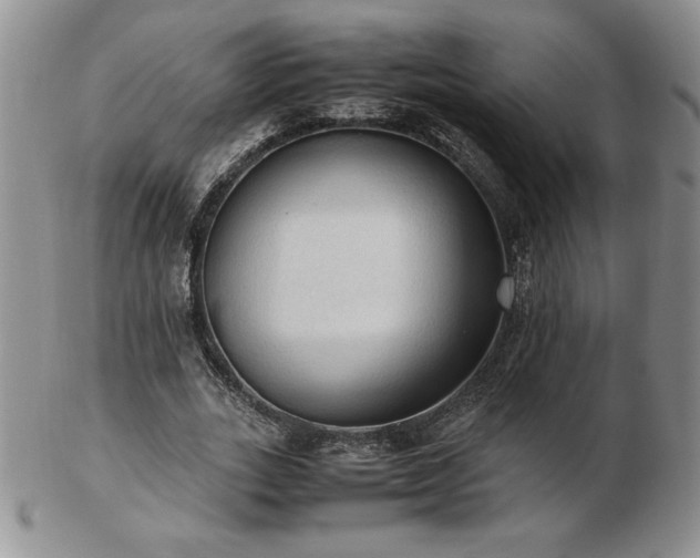 X0000103130727200808221153