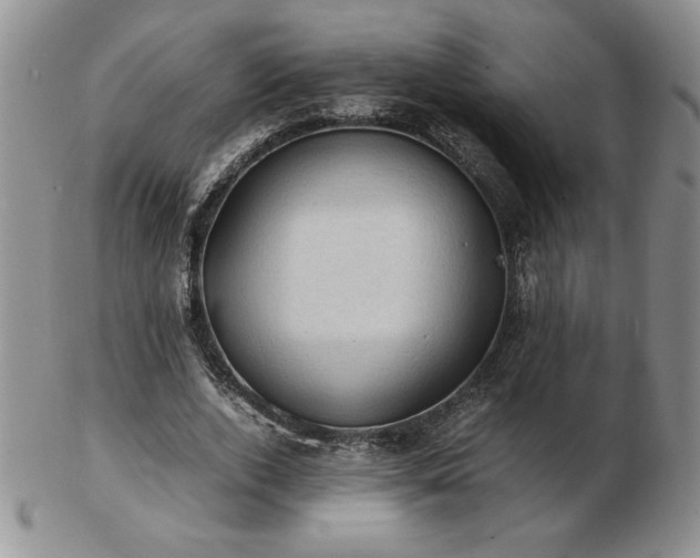 X0000103130728200808221153