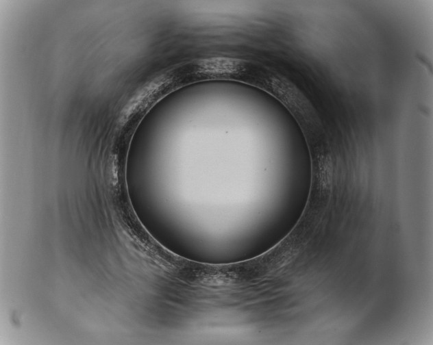 X0000103130731200808221153