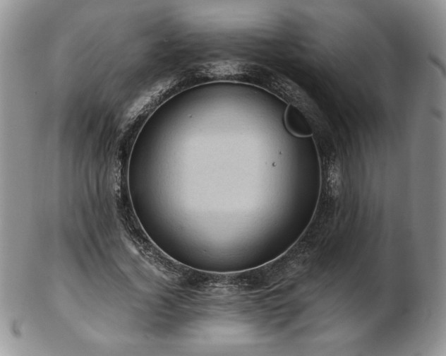 X0000103130732200808221153