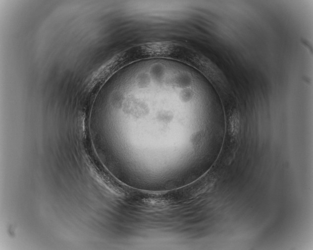 X0000103130733200808221153