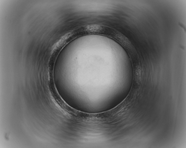 X0000103130734200808221153