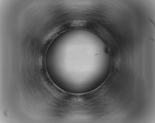 X0000103130735200808221153