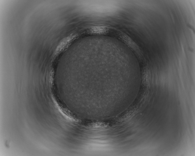 X0000103130736200808221153