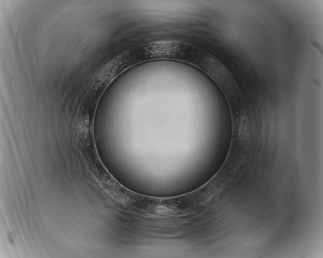 X0000103130737200808221153