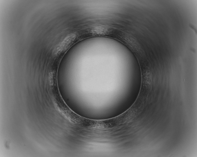 X0000103130738200808221153
