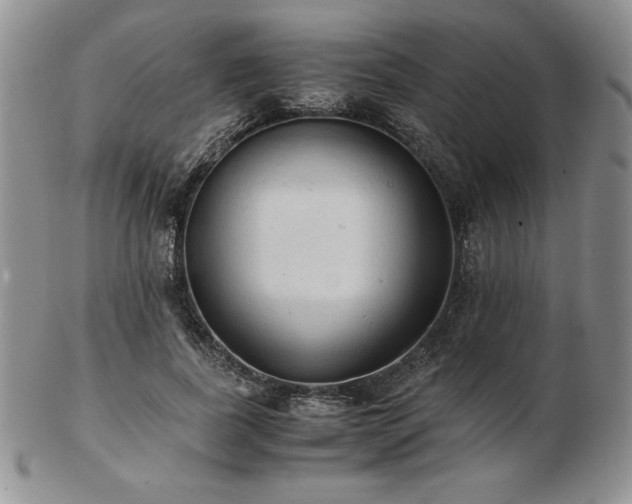 X0000103130739200808221153