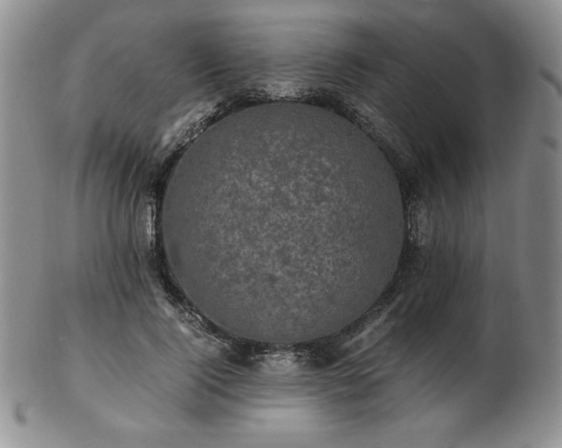 X0000103130740200808221153