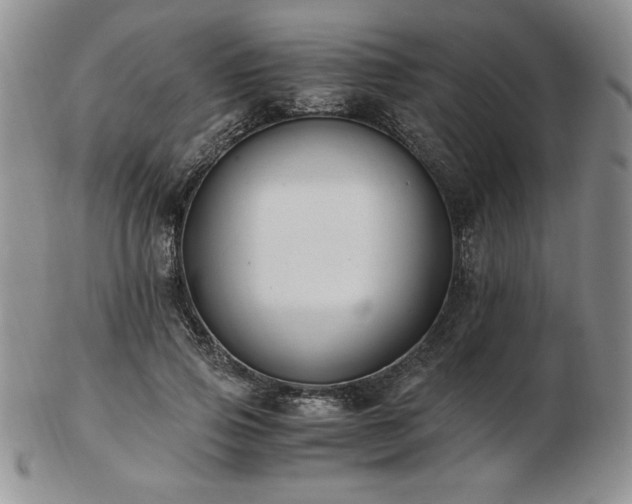 X0000103130741200808221153