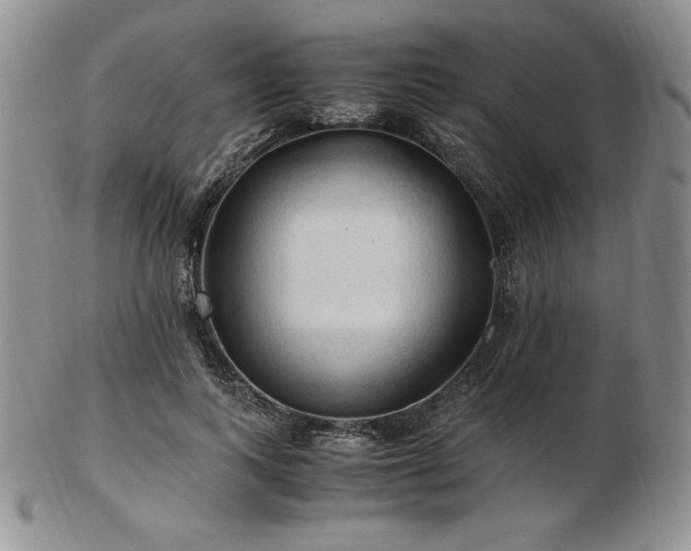 X0000103130743200808221153