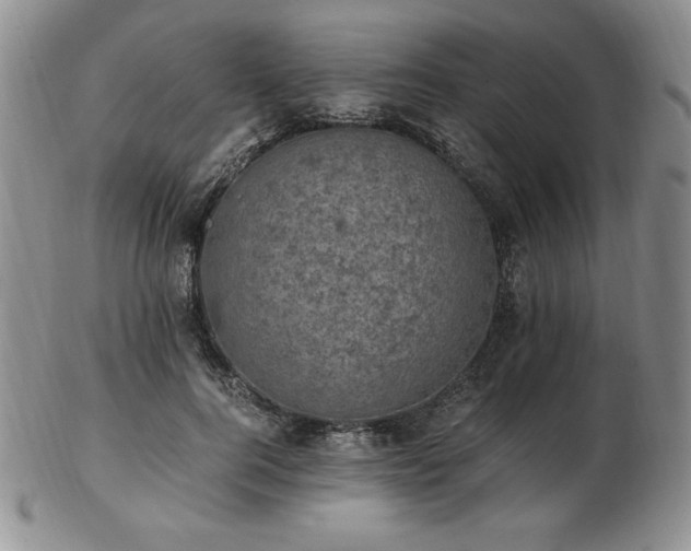X0000103130744200808221153