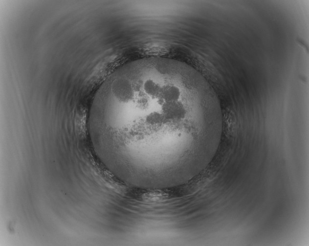 X0000103130745200808221153