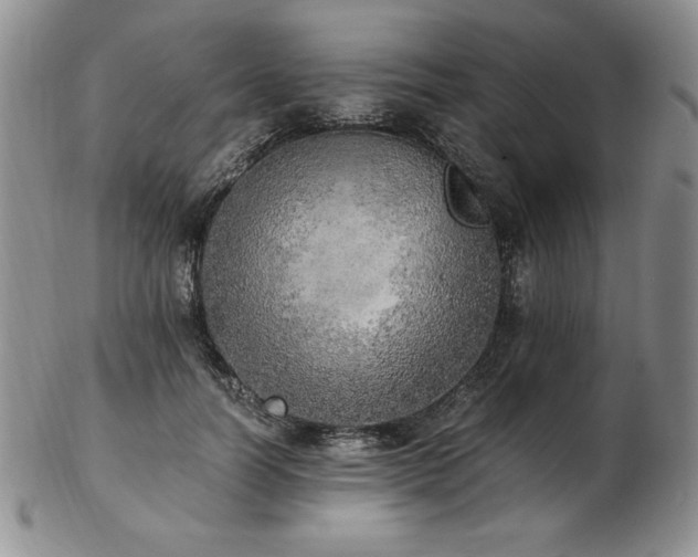 X0000103130746200808221153