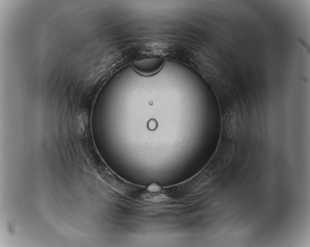 X0000103130747200808221153