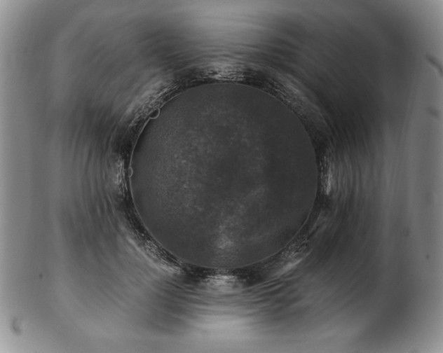 X0000103130748200808221153