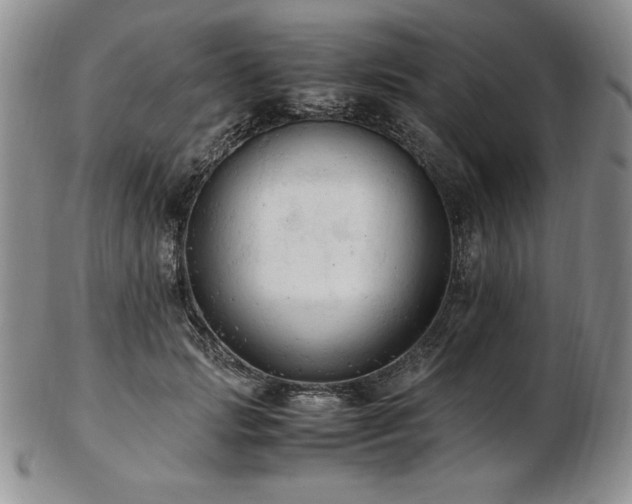 X0000103130749200808221153